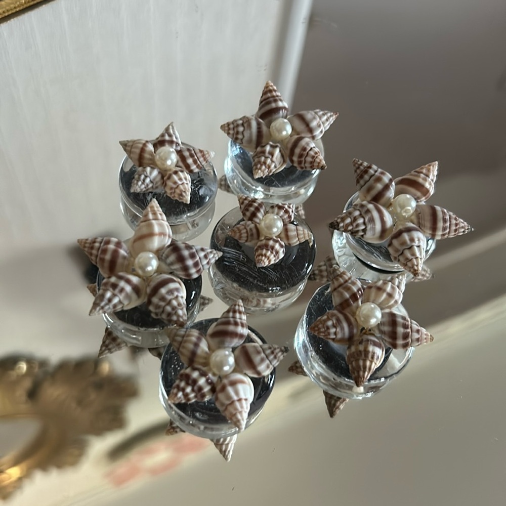 Seashell Refrigerator Magnets - Picture 3 of 5